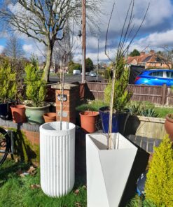 aristotle planter with tree in garden