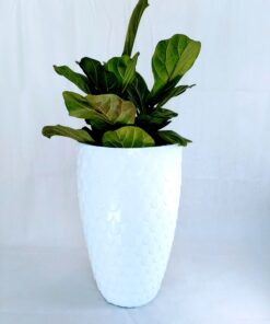 feather looking planter on a white background