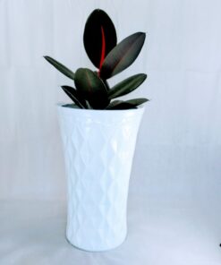 pakray white fiberglass planter from aceplanters.co.uk