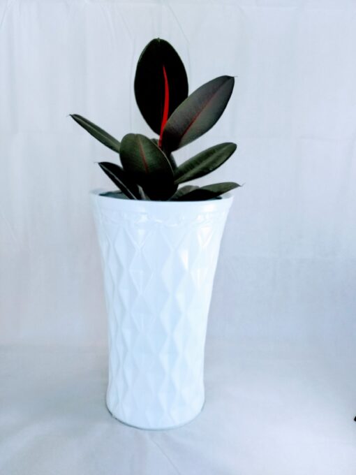 pakray white fiberglass planter from aceplanters.co.uk