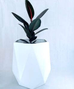 diamond shaped fiberglass planter with plant inside on a white background