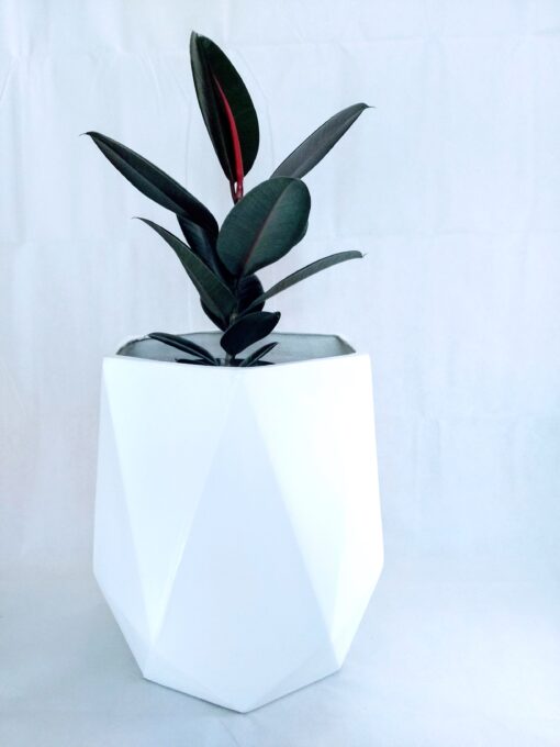 diamond shaped fiberglass planter with plant inside on a white background