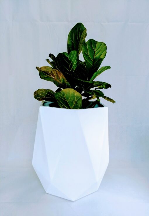 plant inside diamond shaped fiberglass planter