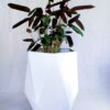 diamonific diamond shape medium sized fiberglass planter