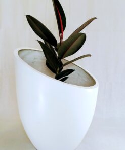 epsilon planter from aceplanter with a plant inside