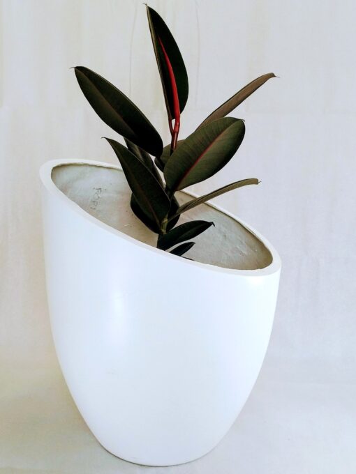 epsilon planter from aceplanter with a plant inside