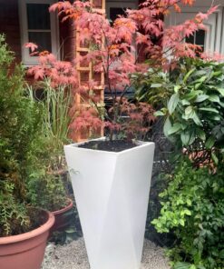 The Excelantor with acer tree inside the planter