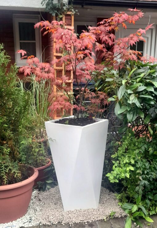 The Excelantor with acer tree inside the planter