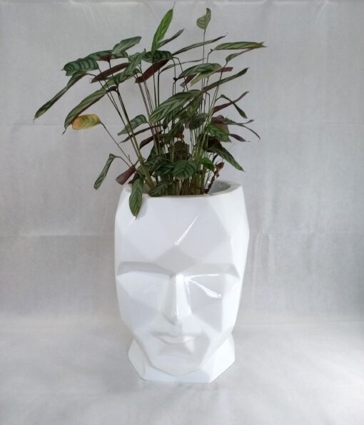 large face planter with plant in his head