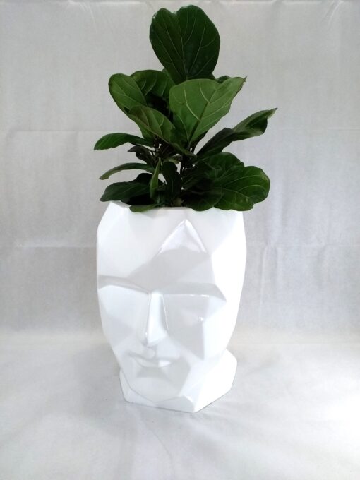 fiberglass planter with different plant inside