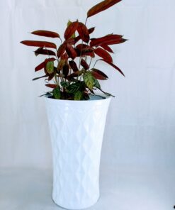 stylish classic call the parkray planter with plant inside