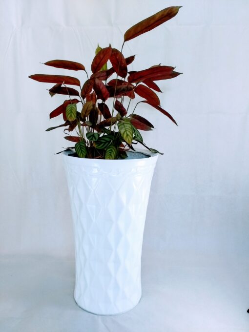 stylish classic call the parkray planter with plant inside