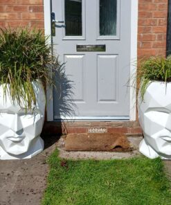 picture of two talking head planters at by a grey front door