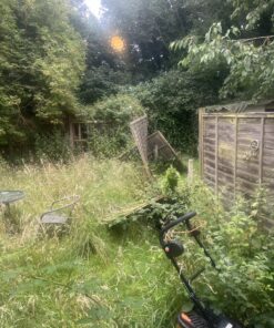 a picture of a messy garden in need of cleaning up