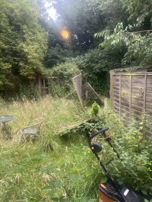 a picture of a messy garden in need of cleaning up